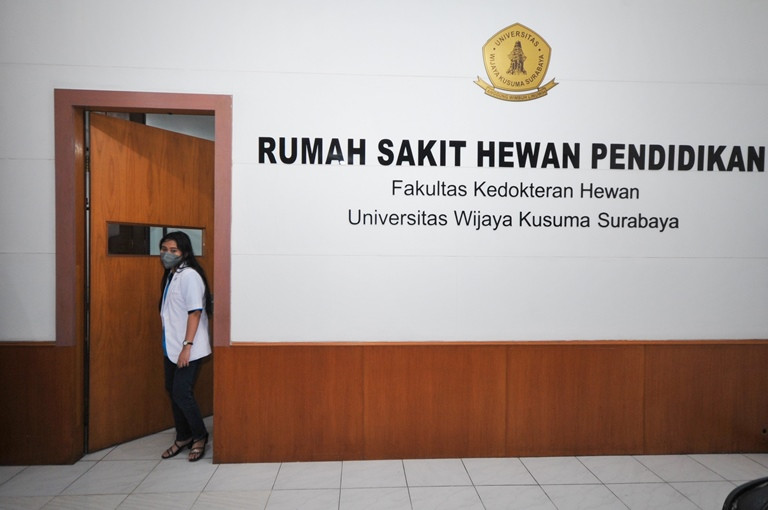 Gratis Pengobatan di RS Hewan UWK